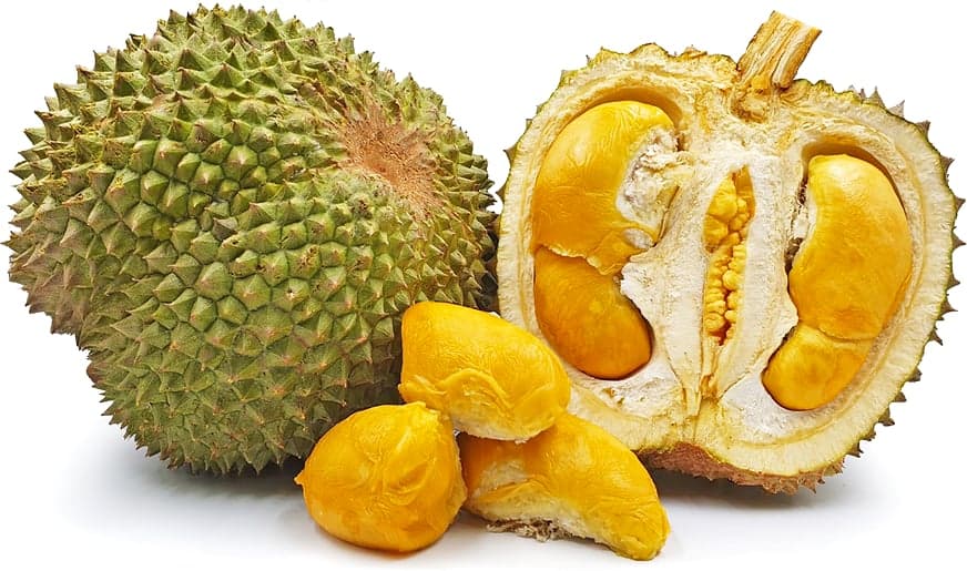 Durian Malaysia (Black Thorn / Musang King)